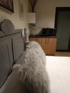 Ảnh trong thư viện ảnh của Bello Guest ở Bloemfontein