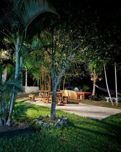 un parco con tavoli da picnic in legno e palme di My Paradise ad Ahangama