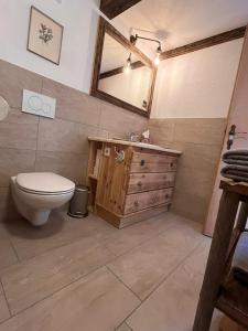 ein Badezimmer mit einem WC, einem Waschbecken und einem Spiegel in der Unterkunft Rossweid Huette in Stans