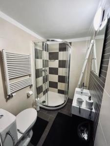 Vannituba majutusasutuses Apartmány v ráji (Českém)