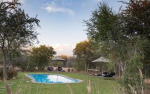 a pool with chairs and umbrellas in a yard at Onguma Tamboti Campsite in Namutoni