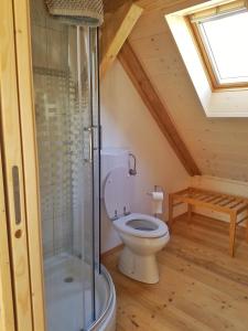 een badkamer met een toilet en een douche op zolder bij Apartma 10th Mountain, Bovec in Bovec