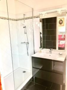 uma casa de banho com um lavatório e um chuveiro em Les Florentines em Carcassonne