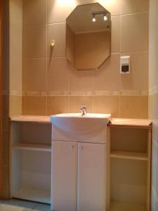 a bathroom with a sink and a mirror at Charbrowski Młyn in Wicko