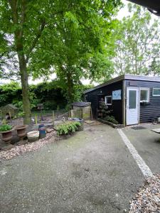 Un pequeño cobertizo con muchas plantas en un patio. en La Luna - Denise, en Heerhugowaard