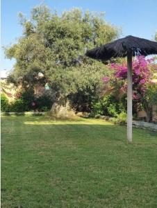 an umbrella sitting in the grass in a yard at Villa Ostrero in Chiclana de la Frontera