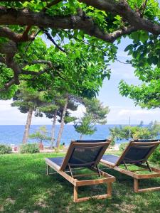 Dos sillones sentados bajo un árbol cerca del océano. en Nama Beach House, en rkadiko Chorio