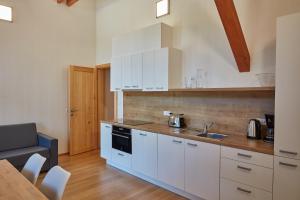 Kuchyňa alebo kuchynka v ubytovaní Kovárna Residence