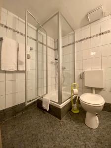 uma casa de banho com um chuveiro e um WC. em Pension am See em Wörthsee