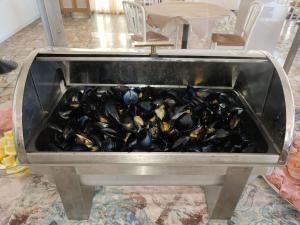 Kép Hotel Ideale Mare szállásáról Bellaria-Igea Marinában a galériában