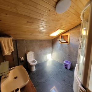 ein kleines Bad mit WC und Waschbecken in der Unterkunft Selin Yaşam Evi in Artvin