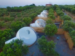 Garður fyrir utan Bubble Tents