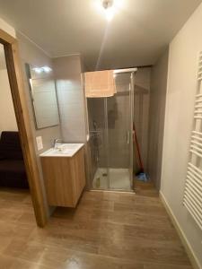 a bathroom with a shower and a sink at Appartement très cosy en plein centre in Les Gets