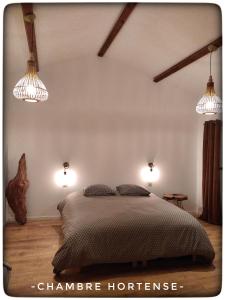 a bedroom with a bed with two lights on it at Hortense Grange 2/4 personnes in Sanilhac