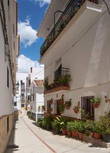 an alley with potted plants on the side of a building at The Nook (El Recoveco) in Canillas de Aceituno