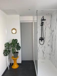 La salle de bains est pourvue d'une douche et d'une plante en pot. dans l'établissement Le cocon des ducs, appartement centre historique, à Nevers