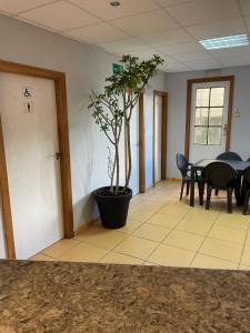 Pokój z doniczką oraz stołem i krzesłami w obiekcie HOSTEL Cangas w mieście Cangas de Morrazo +37 zdjęć