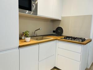 Kuchyň nebo kuchyňský kout v ubytování Casa Ulivi Silver