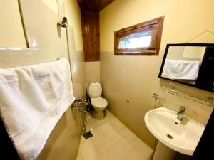 a bathroom with a sink and a toilet and a mirror at Manasau Resort in Hunza