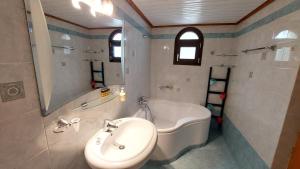 Vannituba majutusasutuses Nature Villa