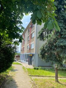 a building with a tree in front of it at Cozy Trg in Lazarevac