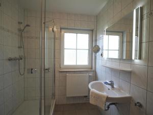 ein Bad mit einer Dusche, einem Waschbecken und einem Spiegel in der Unterkunft Am Deich 39 in Zingst