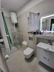 y baño con aseo, lavabo y ducha. en Rustic Home Maslenica, en Maslenica