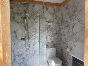 a shower in a bathroom with a toilet at Impeccable shepherds hut sleeping up to 4 guests in Minehead