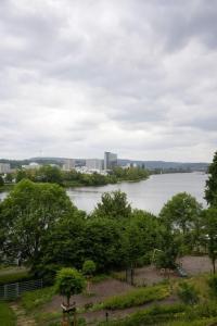 Blick auf einen Fluss mit Bäumen und eine Stadt in der Unterkunft Luxuriöse Wohnung mit Flussblick nahe Stadtzentrum in Koblenz