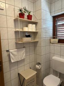 a bathroom with a toilet and shelves with plants at Family apartment Makarska in Makarska