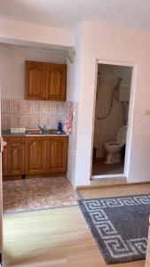 La salle de bains est pourvue d'un lavabo et de toilettes. dans l'établissement Apartments Argiroski, à Ohrid