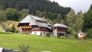 Příroda nedaleko hotelu