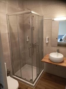 a bathroom with a shower and a sink at Hôtel L'Ecrin in La Plaine des Cafres