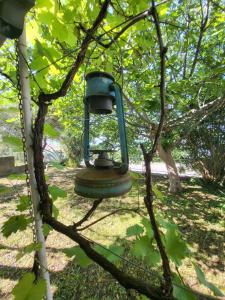Ein Garten an der Unterkunft Rustic Home Maslenica