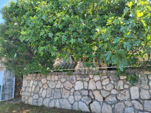Ein Garten an der Unterkunft Rustic Home Maslenica