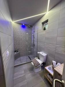 a bathroom with a shower and a toilet and a sink at Natural House with Pool & private parking in Heraklio