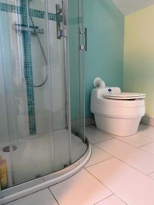 ein Bad mit einem WC und einer Glasdusche in der Unterkunft Jardin face aux Pyrénées in Gelos