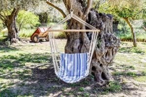 a hammock hanging from a tree in a park at HUT HOUSE Εξοχικό στην παραλία Μ. Άμμος in Skiathos