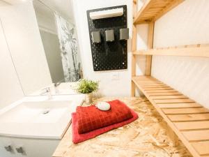 a bathroom with a sink and a red towel on the floor at L'Olympique: appartement cosy, vue canal grande terrasse et parking in Vaires-sur-Marne +12 photos