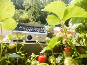 a barbecue grill sitting in a garden with strawberries at L'Olympique: appartement cosy, vue canal grande terrasse et parking in Vaires-sur-Marne