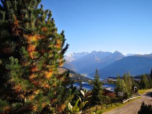 Příroda nedaleko apartmánu + 3 fotografie