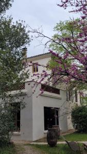 una casa blanca con árboles florecientes delante de ella en Le Clos de La Chardonnière, en Saulce-sur-Rhône