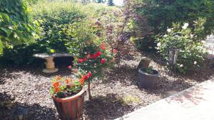 a garden with flowers and a bench in it at Fülöp Villa Apartmanház in Balatonszepezd