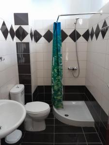 ポトスにあるHaus Dusseldorfのバスルーム(トイレ、シャワー、シンク付)
