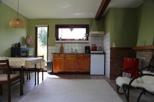 een keuken met groene muren en een tafel en een keuken met een wastafel bij Huisje Vogelsand in 't Horntje