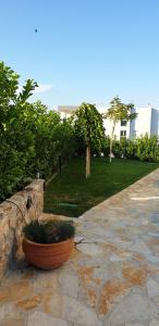 Zahrada ubytování Sea View Apartments Zaboric