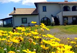 a field of yellow flowers in front of a house at Agriturismo PIAN DEL GRANO Azienda agricola in Grotte di Castro