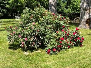 Ảnh trong thư viện ảnh của Chateau Du Four De Vaux ở Varennes Vauzelles +126 ảnh