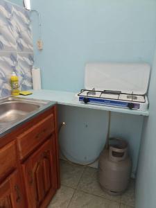 a kitchen with a sink and a stove on a counter at Logerthine Josy Suriname in Paramaribo