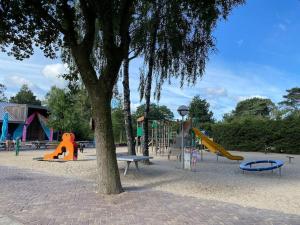 einen Park mit einem Spielplatz mit Rutschen und einem Baum in der Unterkunft Knus huisje op kindvriendelijk park met zwembad in Otterlo